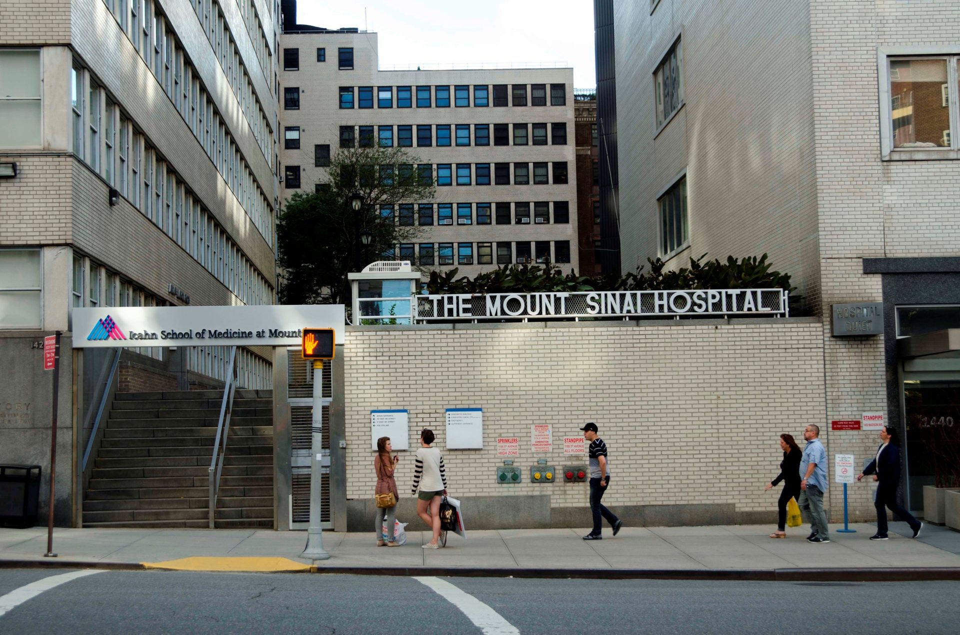 Mount%20Sinai%20Hospital%2C%20New%20York%20%285%29.jpg